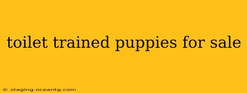 toilet trained puppies for sale