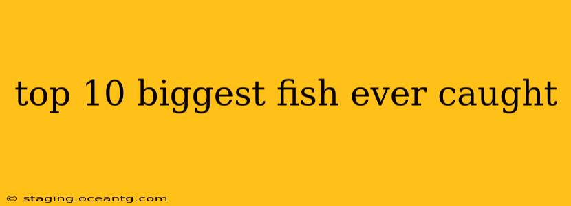 top 10 biggest fish ever caught