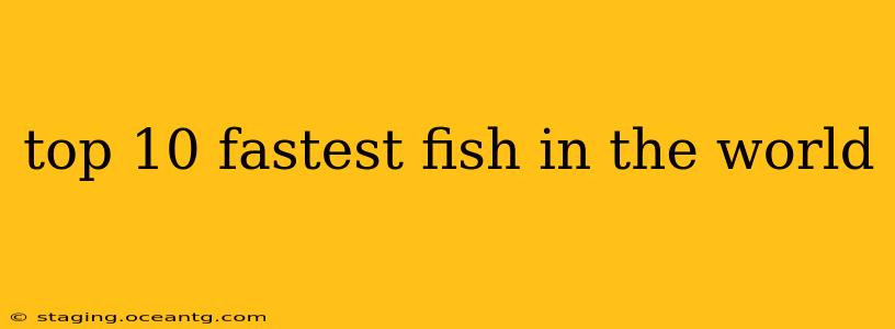 top 10 fastest fish in the world