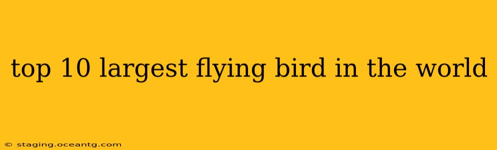 top 10 largest flying bird in the world
