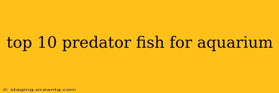 top 10 predator fish for aquarium