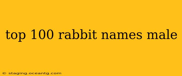 top 100 rabbit names male