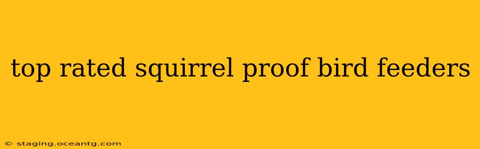 top rated squirrel proof bird feeders