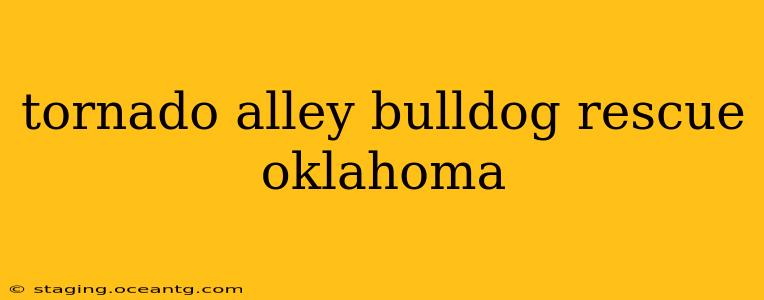 tornado alley bulldog rescue oklahoma