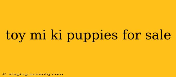 toy mi ki puppies for sale