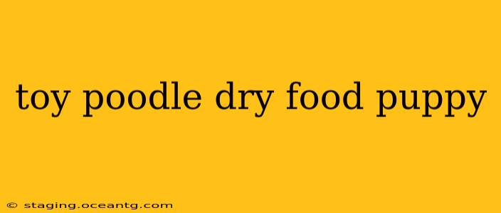 toy poodle dry food puppy