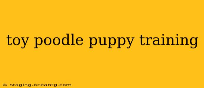 toy poodle puppy training