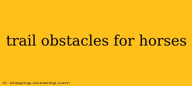 trail obstacles for horses