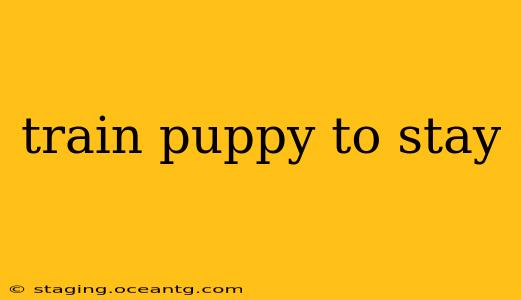 train puppy to stay