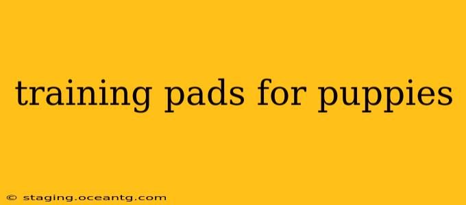 training pads for puppies