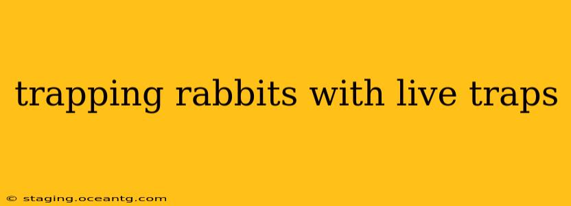 trapping rabbits with live traps