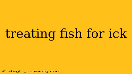 treating fish for ick