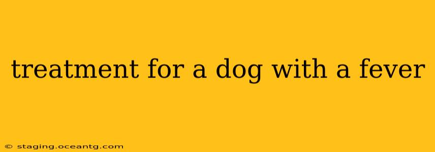 treatment for a dog with a fever