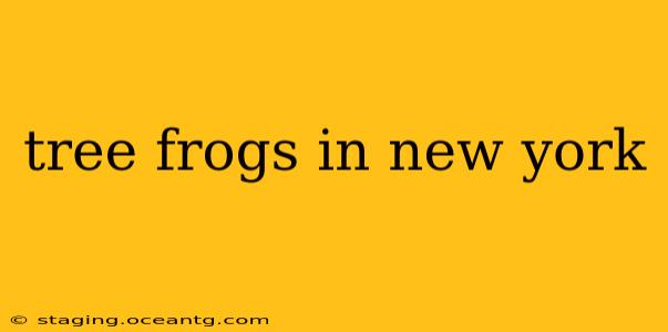 tree frogs in new york