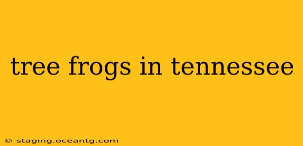 tree frogs in tennessee