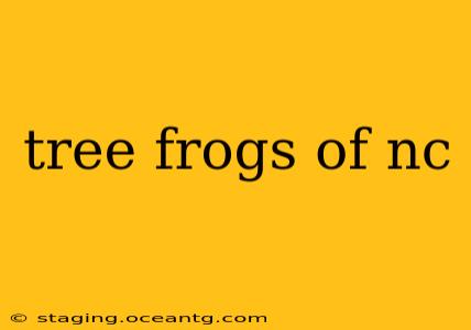 tree frogs of nc