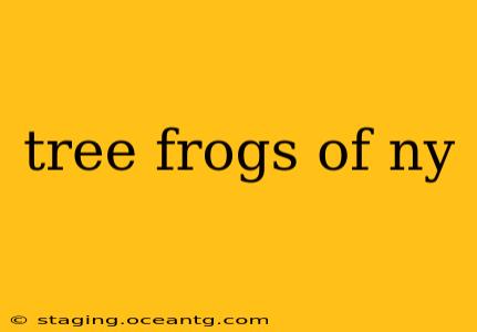 tree frogs of ny