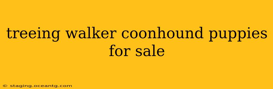 treeing walker coonhound puppies for sale