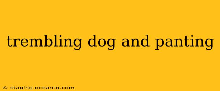 trembling dog and panting