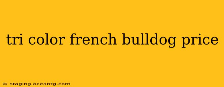 tri color french bulldog price