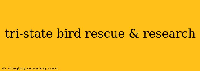 tri-state bird rescue & research