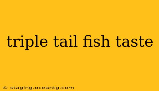 triple tail fish taste