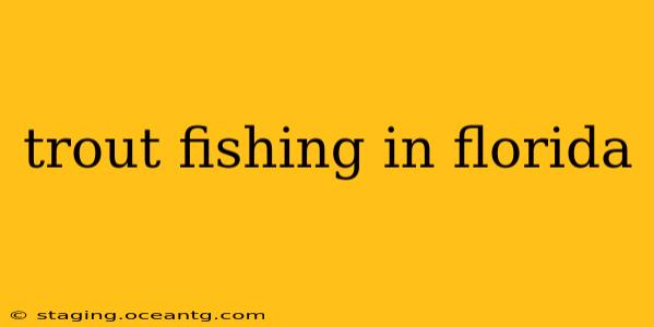 trout fishing in florida
