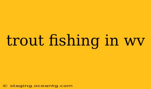 trout fishing in wv