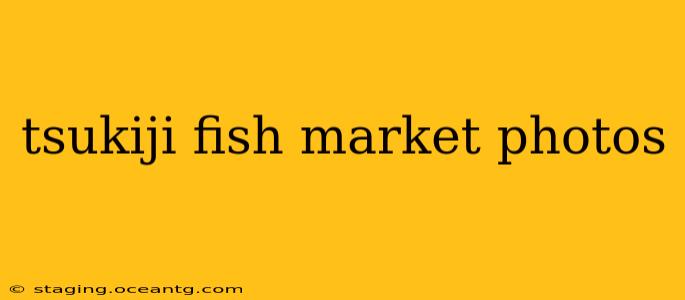 tsukiji fish market photos