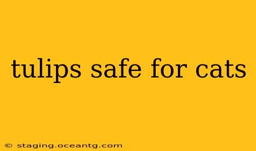 tulips safe for cats