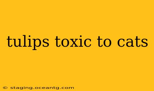 tulips toxic to cats