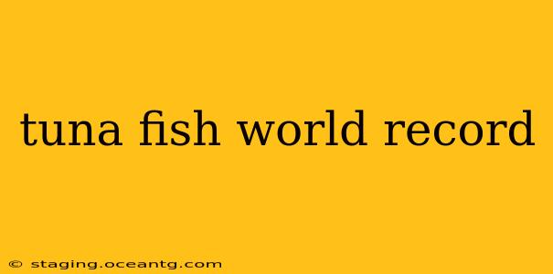 tuna fish world record