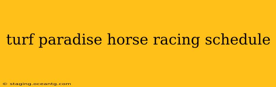 turf paradise horse racing schedule