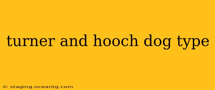 turner and hooch dog type