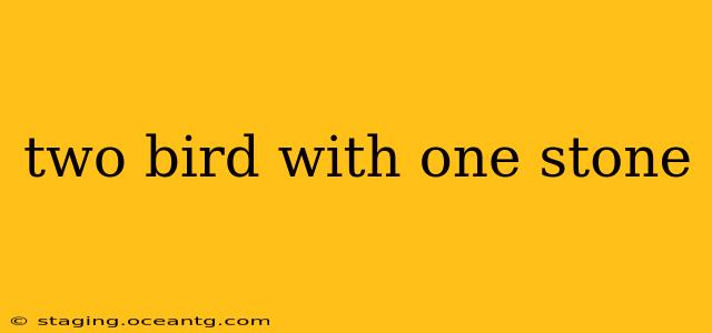two bird with one stone