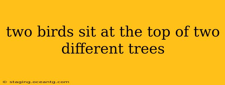 two birds sit at the top of two different trees