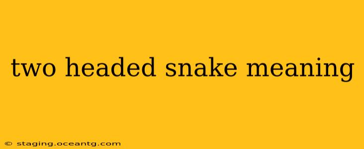 two headed snake meaning