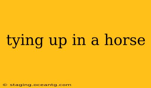 tying up in a horse