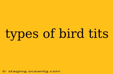 types of bird tits