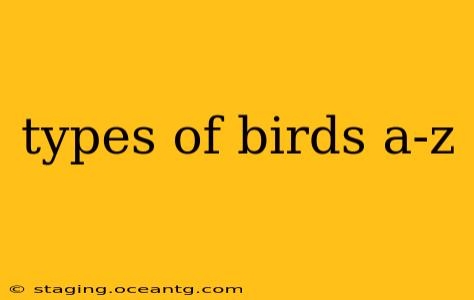 types of birds a-z