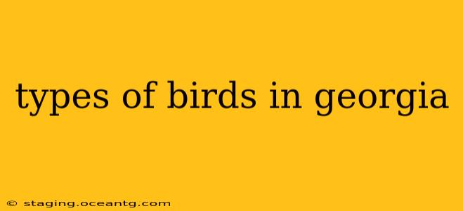 types of birds in georgia