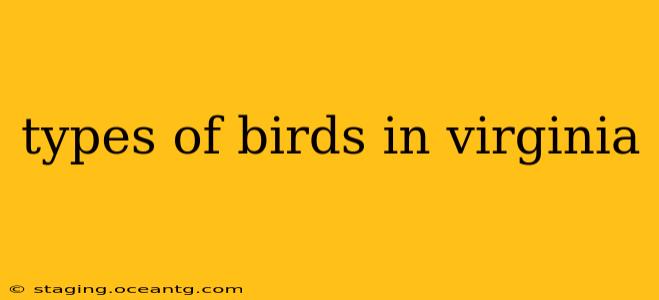 types of birds in virginia