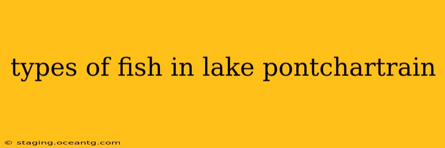 types of fish in lake pontchartrain