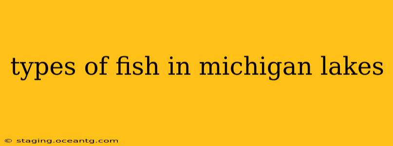 types of fish in michigan lakes