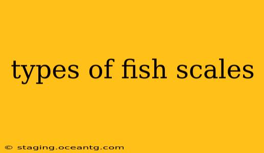 types of fish scales