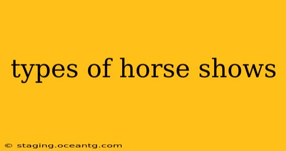 types of horse shows