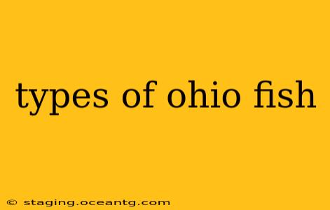 types of ohio fish
