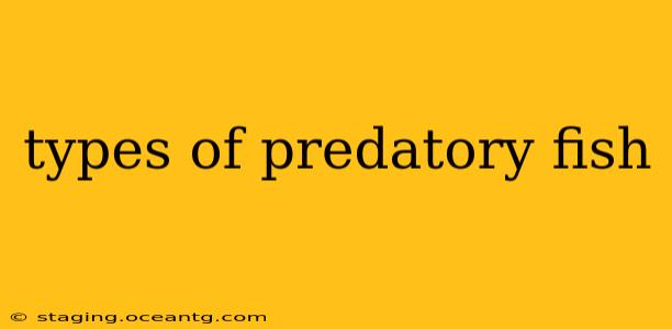types of predatory fish