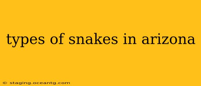 types of snakes in arizona