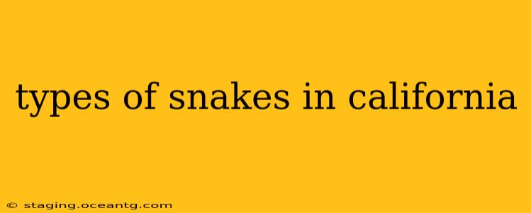 types of snakes in california